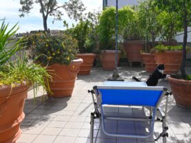 Agenzia Immobiliare Caporalini - Appartamento - Annuncio SR1210 - Foto: 4