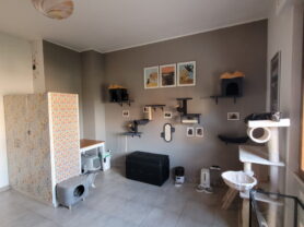 Immobiliare Caporalini real-estate agency - Apartment - Ad SR1187 - Picture: 21