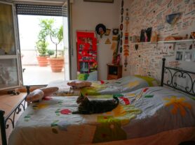 Agenzia Immobiliare Caporalini - Appartamento - Annuncio SR1210 - Foto: 21