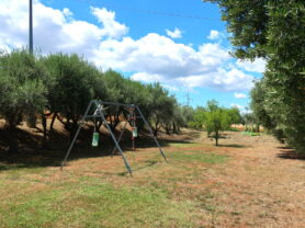 Agenzia Immobiliare Caporalini - Casa bifamiliare - Annuncio SS829 - Foto: 161