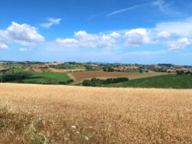 Agenzia Immobiliare Caporalini - Casa bifamiliare - Annuncio SS829 - Foto: 164