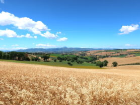 Agenzia Immobiliare Caporalini - Casa bifamiliare - Annuncio SS829 - Foto: 165