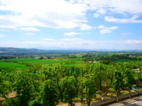 Agenzia Immobiliare Caporalini - Casa indipendente - Annuncio SS858 - Foto: 29