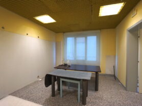 Agenzia Immobiliare Caporalini - Locale commerciale - Annuncio SS830 - Foto: 2