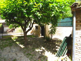 Immobiliare Caporalini real-estate agency - Detached house - Ad SS746 - Picture: 33