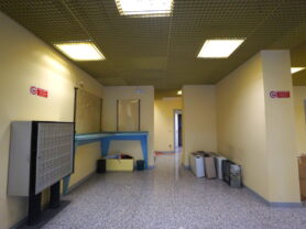 Agenzia Immobiliare Caporalini - Locale commerciale - Annuncio SS830 - Foto: 4