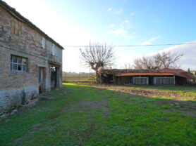 Agenzia Immobiliare Caporalini - Casa colonica - Annuncio SS837 - Foto: 9