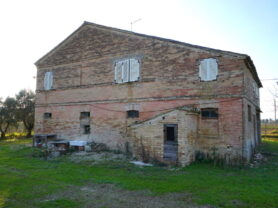 Agenzia Immobiliare Caporalini - Casa colonica - Annuncio SS837 - Foto: 12