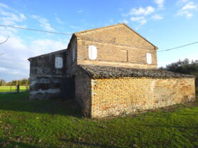 Agenzia Immobiliare Caporalini - Casa colonica - Annuncio SS837 - Foto: 5