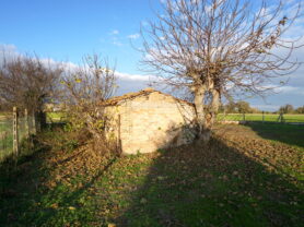 Agenzia Immobiliare Caporalini - Casa colonica - Annuncio SS837 - Foto: 6