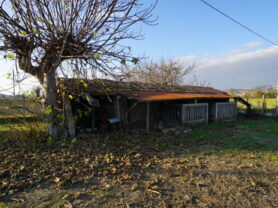 Agenzia Immobiliare Caporalini - Casa colonica - Annuncio SS837 - Foto: 8