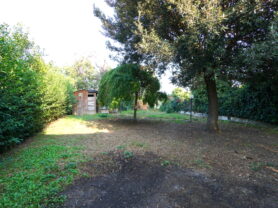 Immobiliare Caporalini real-estate agency - Detached house - Ad SS758 - Picture: 40