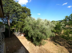 Agenzia Immobiliare Caporalini - Villa - Annuncio SS847 - Foto: 33