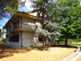 Agenzia Immobiliare Caporalini - Villa - Annuncio SS847 - Foto: 74