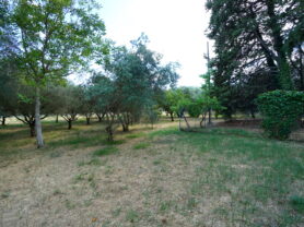 Agenzia Immobiliare Caporalini - Villa - Annuncio SS847 - Foto: 84