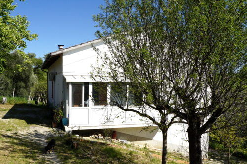 Agenzia Immobiliare Caporalini: Annuncio SS841-3