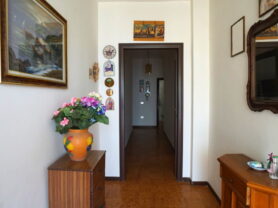 Agenzia Immobiliare Caporalini - Casa colonica - Annuncio SS841-3 - Foto: 15