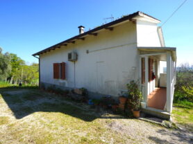 Agenzia Immobiliare Caporalini - Casa colonica - Annuncio SS841-1 - Foto: 0