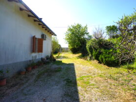 Agenzia Immobiliare Caporalini - Casa colonica - Annuncio SS841-3 - Foto: 41