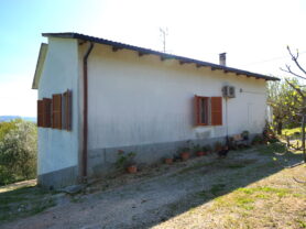 Agenzia Immobiliare Caporalini - Casa colonica - Annuncio SS841-3 - Foto: 42