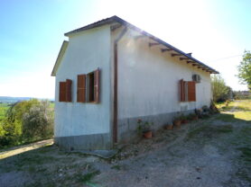 Agenzia Immobiliare Caporalini - Casa colonica - Annuncio SS841-1 - Foto: 43