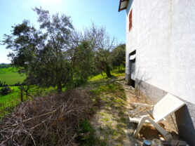 Agenzia Immobiliare Caporalini - Casa colonica - Annuncio SS841-1 - Foto: 50