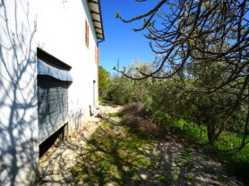 Agenzia Immobiliare Caporalini - Casa colonica - Annuncio SS841-1 - Foto: 51