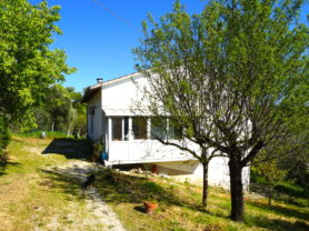 Agenzia Immobiliare Caporalini - Casa colonica - Annuncio SS841-3 - Foto: 54