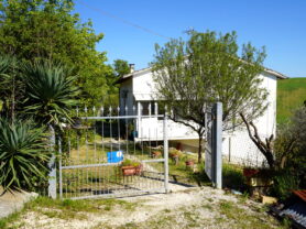 Agenzia Immobiliare Caporalini - Casa colonica - Annuncio SS841-1 - Foto: 57