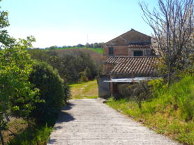 Agenzia Immobiliare Caporalini - Casa colonica - Annuncio SS841-1 - Foto: 59