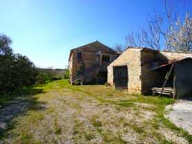 Agenzia Immobiliare Caporalini - Casa colonica - Annuncio SS841-1 - Foto: 60