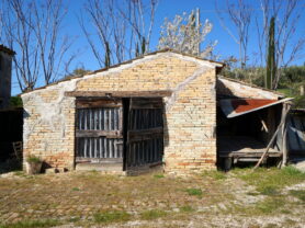 Agenzia Immobiliare Caporalini - Casa colonica - Annuncio SS841-1 - Foto: 62