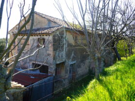 Agenzia Immobiliare Caporalini - Casa colonica - Annuncio SS841-1 - Foto: 66