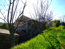 Agenzia Immobiliare Caporalini - Casa colonica - Annuncio SS841-3 - Foto: 67