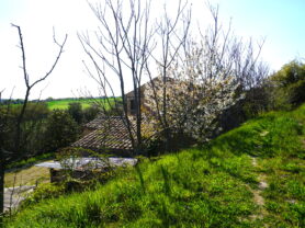 Agenzia Immobiliare Caporalini - Casa colonica - Annuncio SS841-1 - Foto: 68