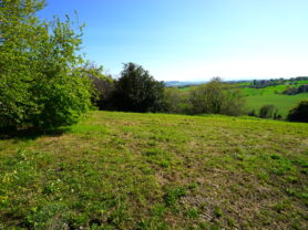 Agenzia Immobiliare Caporalini - Casa colonica - Annuncio SS841-1 - Foto: 73