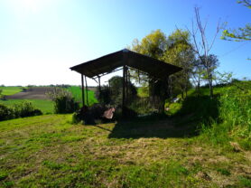 Agenzia Immobiliare Caporalini - Casa colonica - Annuncio SS841-1 - Foto: 74