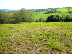 Agenzia Immobiliare Caporalini - Casa colonica - Annuncio SS841-3 - Foto: 75