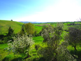 Agenzia Immobiliare Caporalini - Casa colonica - Annuncio SS841-3 - Foto: 81