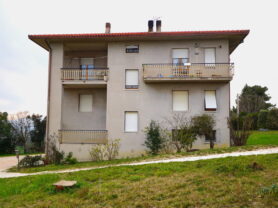 Immobiliare Caporalini real-estate agency - Farmhouse or Country House - Ad SS776 - Picture: 24