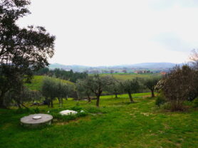 Immobiliare Caporalini real-estate agency - Farmhouse or Country House - Ad SS776 - Picture: 28