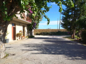 Agenzia Immobiliare Caporalini - Casa colonica - Annuncio SS850 - Foto: 61