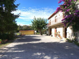 Agenzia Immobiliare Caporalini - Casa colonica - Annuncio SS850 - Foto: 62