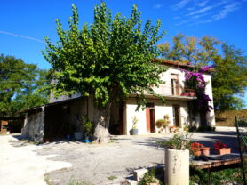 Agenzia Immobiliare Caporalini - Casa colonica - Annuncio SS850 - Foto: 63