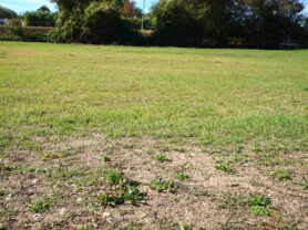 Agenzia Immobiliare Caporalini - Casa colonica - Annuncio SS850 - Foto: 67