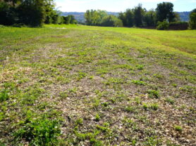 Agenzia Immobiliare Caporalini - Casa colonica - Annuncio SS850 - Foto: 68