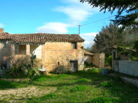 Immobiliare Caporalini real-estate agency - Farmhouse or Country House - Ad SS562 - Picture: 4
