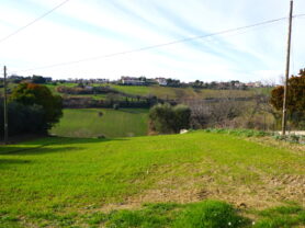 Agenzia Immobiliare Caporalini - Terreno agricolo - Annuncio SS857 - Foto: 0