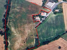 Agenzia Immobiliare Caporalini - Terreno agricolo - Annuncio SS857 - Foto: 14
