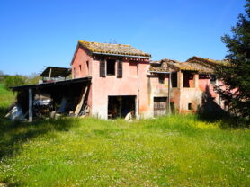 Agenzia Immobiliare Caporalini - Terreno agricolo - Annuncio SS860-1 - Foto: 13